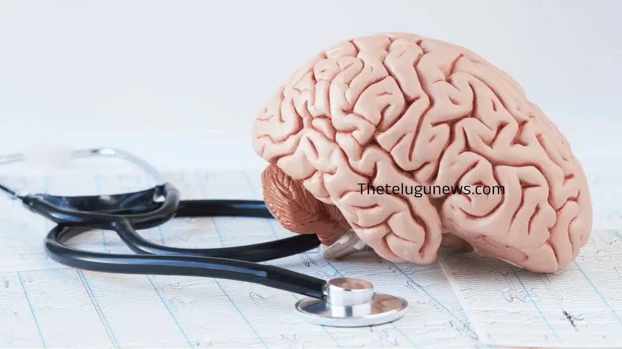 Brain Healthy : మీ మెదడును ఆరోగ్యంగా ఉంచుకోవడం ఎలా : పదునైన మరియు కేంద్రీకృత మనస్సు కోసం చిట్కాలు