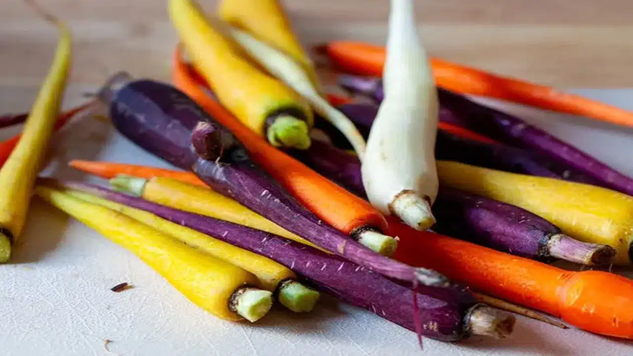 Carrots : ప్రతిరోజు రెండు క్యారెట్లను ఇలా తిని చూడండి... శాశ్వతంగా ఈ వ్యాధికి చెక్ పడుతుంది...?