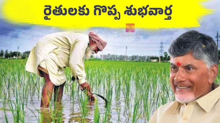 Chandrababu : మహానాడు వేదికపై రైతులకు గొప్ప శుభవార్త తెలిపిన సీఎం చంద్రబాబు
