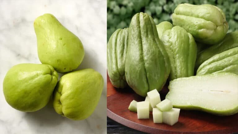 Chayote For Cancer : చూడడానికి అచ్చం జామకాయలాగే ఉన్నా…. దీని పోషకాలు అమోఘం… ప్రమాదకర వ్యాధులు పరార్…?