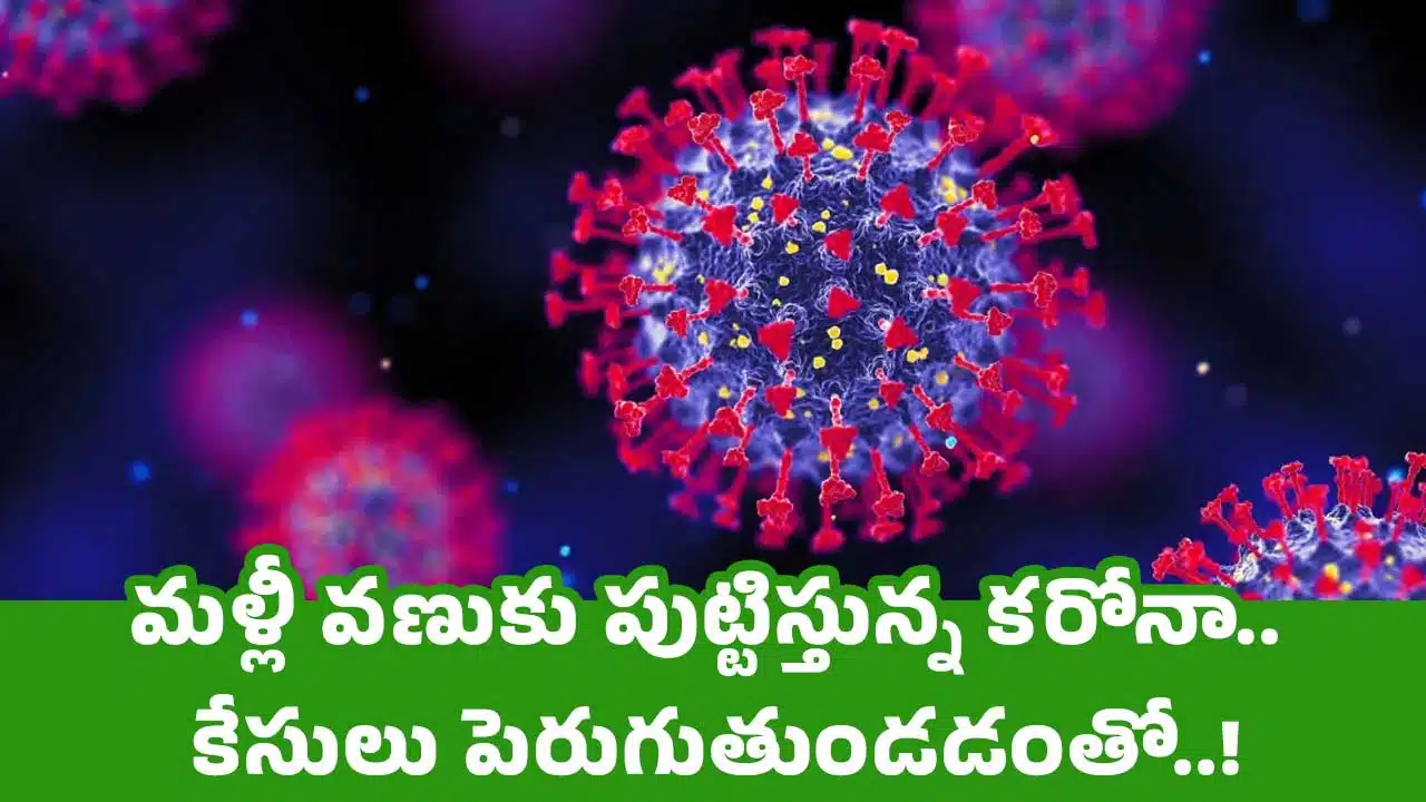Covid Virus : మ‌ళ్లీ వ‌ణుకు పుట్టిస్తున్న క‌రోనా.. కేసులు పెరుగుతుండడంతో..!