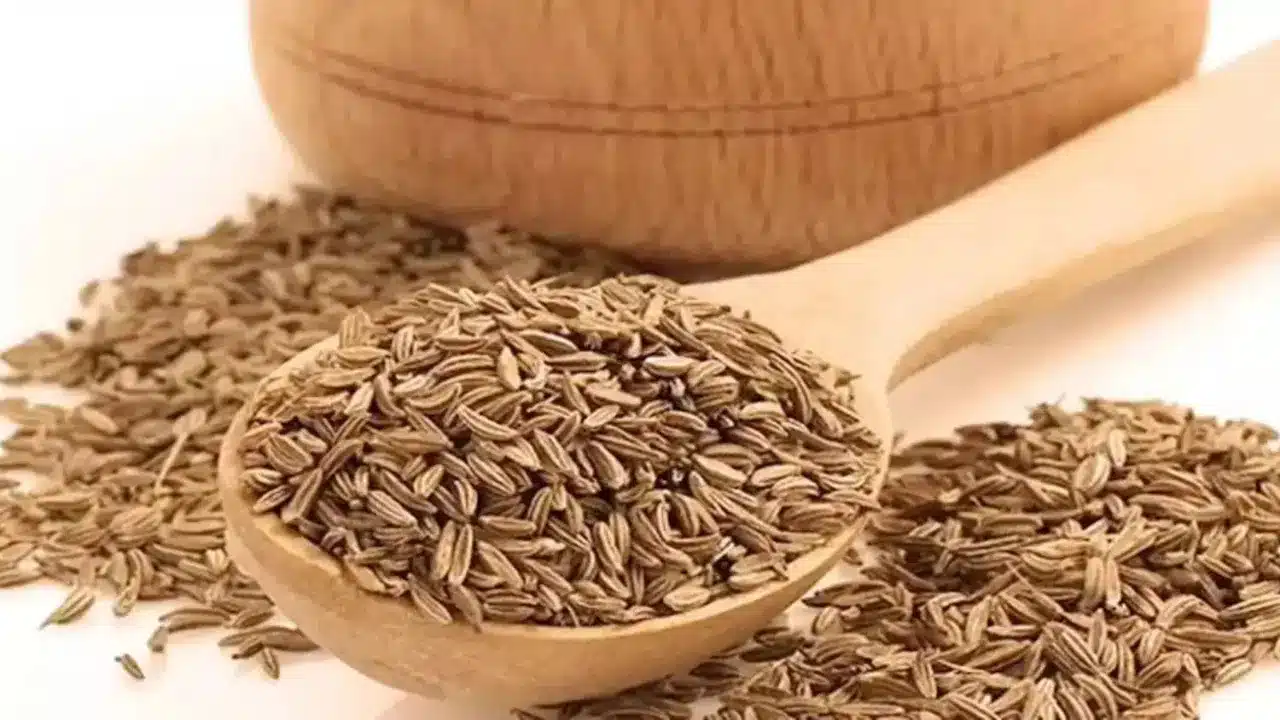 Cumin Health Benefits : జీలకర్ర ఆరోగ్య ప్రయోజనాలు