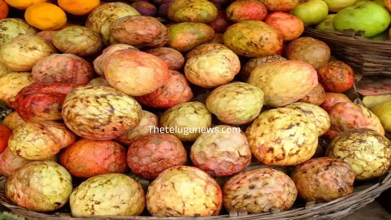 Custard Apple : రామ‌ఫ‌లం ఆశ్చర్యకరమైన ఆరోగ్య‌ ప్రయోజనాలు