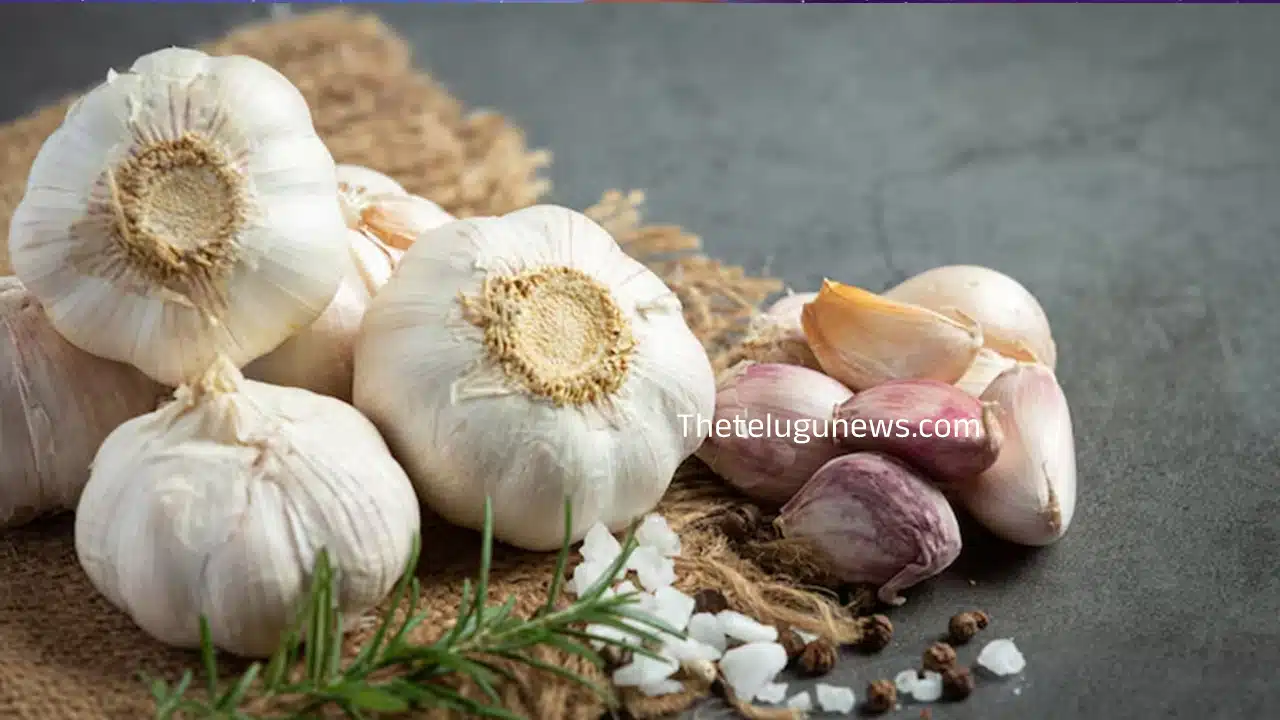 Garlic : వెల్లుల్లిని తీసుకోవడం వల్ల కలిగే అద్భుత ఆరోగ్య ప్రయోజనాలు