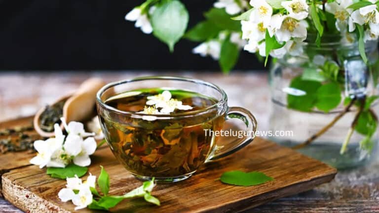 Jasmine Tea : మల్లె పువ్వుతో టీ… దీని ఆరోగ్య ప్రయోజనాలు అదుర్స్…?