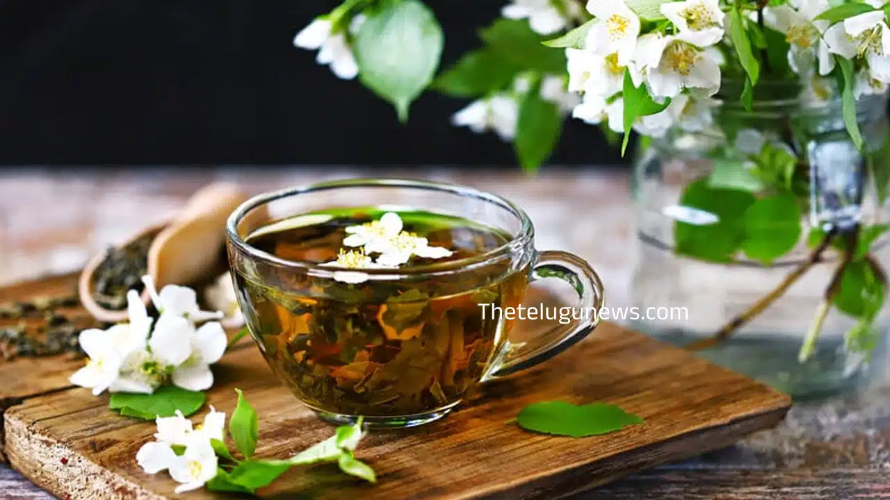 Jasmine Tea : మల్లె పువ్వుతో టీ... దీని ఆరోగ్య ప్రయోజనాలు అదుర్స్...?