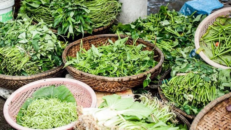 Leafy Vegetables : వీటిని సరిగ్గా వారానికి మూడుసార్లు తిన్నారంటే… ఆ జబ్బులు దరిచేరవు…?