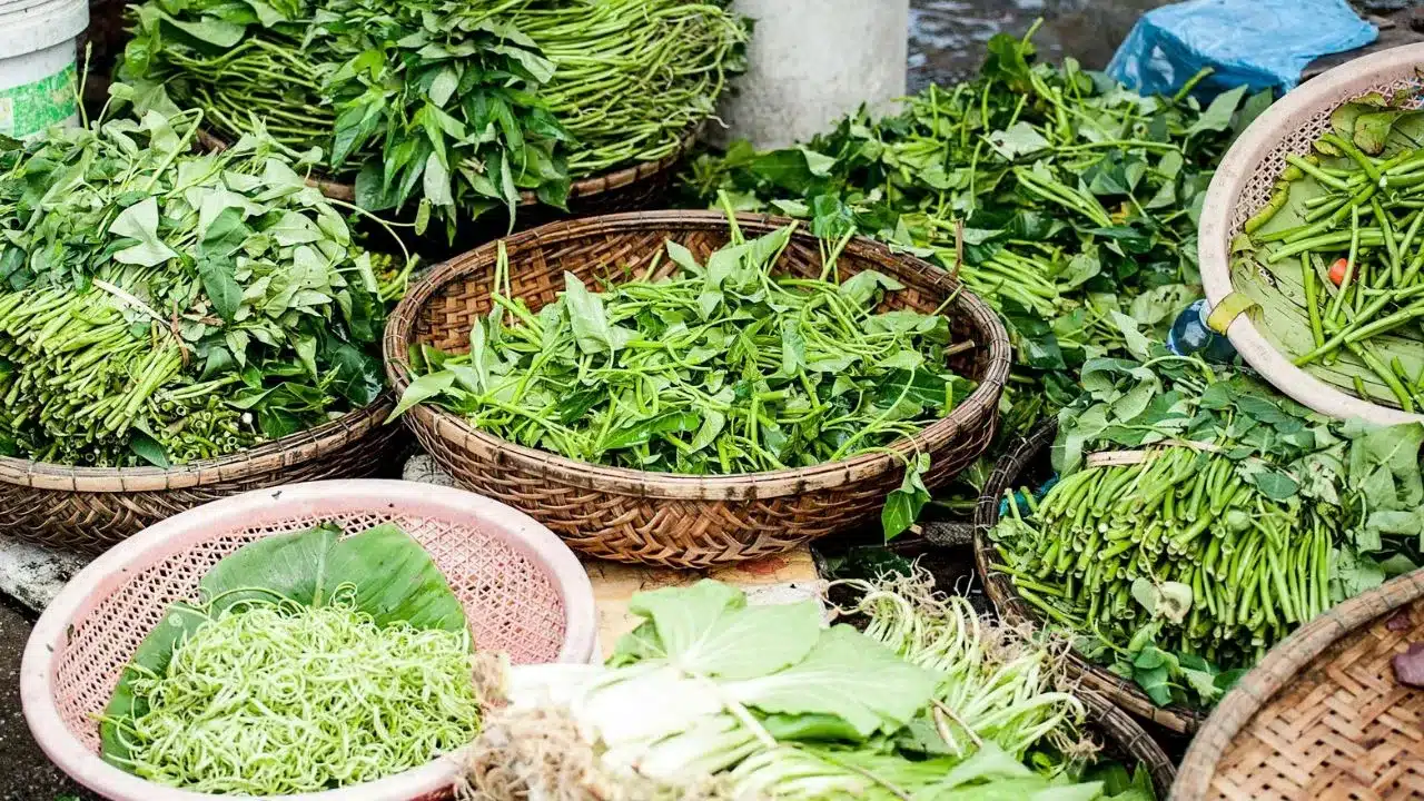 Leafy Vegetables : వీటిని సరిగ్గా వారానికి మూడుసార్లు తిన్నారంటే... ఆ జబ్బులు దరిచేరవు...?