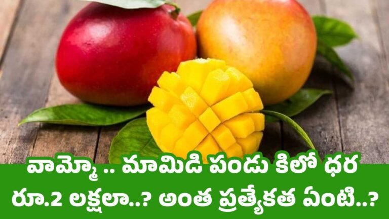 Mangoes : వామ్మో .. మామిడి పండు కిలో ధర రూ.2 లక్షలా..? అంత ప్రత్యేకత ఏంటి..?