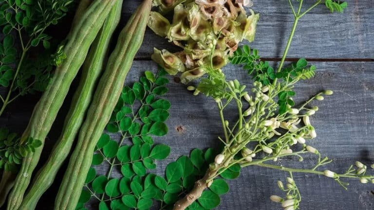 Moringa Benefits : జుట్టు రాలే సమస్యకు… ఇదొక్కటే  పరిష్కారం…సింపుల్ చిట్కా…?