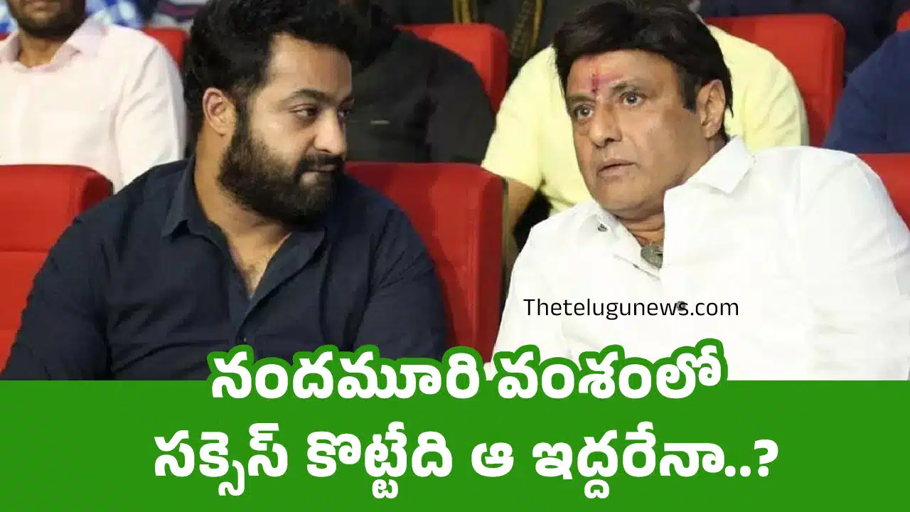 Nandamuri Family : నందమూరి వంశంలో సక్సెస్ కొట్టేది ఆ ఇద్దరేనా..?