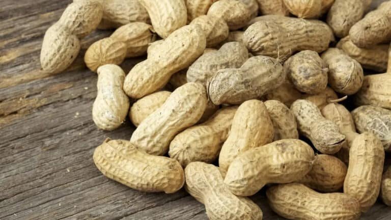 Peanuts Health Benefits : వేరుశనగల‌తో ఆరోగ్య క‌లిగే మేలు తెలిస్తే వ‌ద‌ల‌రంతే