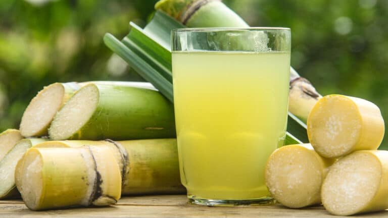 Sugarcane Juice : వేసవిలో చెరుకు రసం తాగడం వల్ల కలిగే ఆరోగ్య ప్రయోజనాలు..!