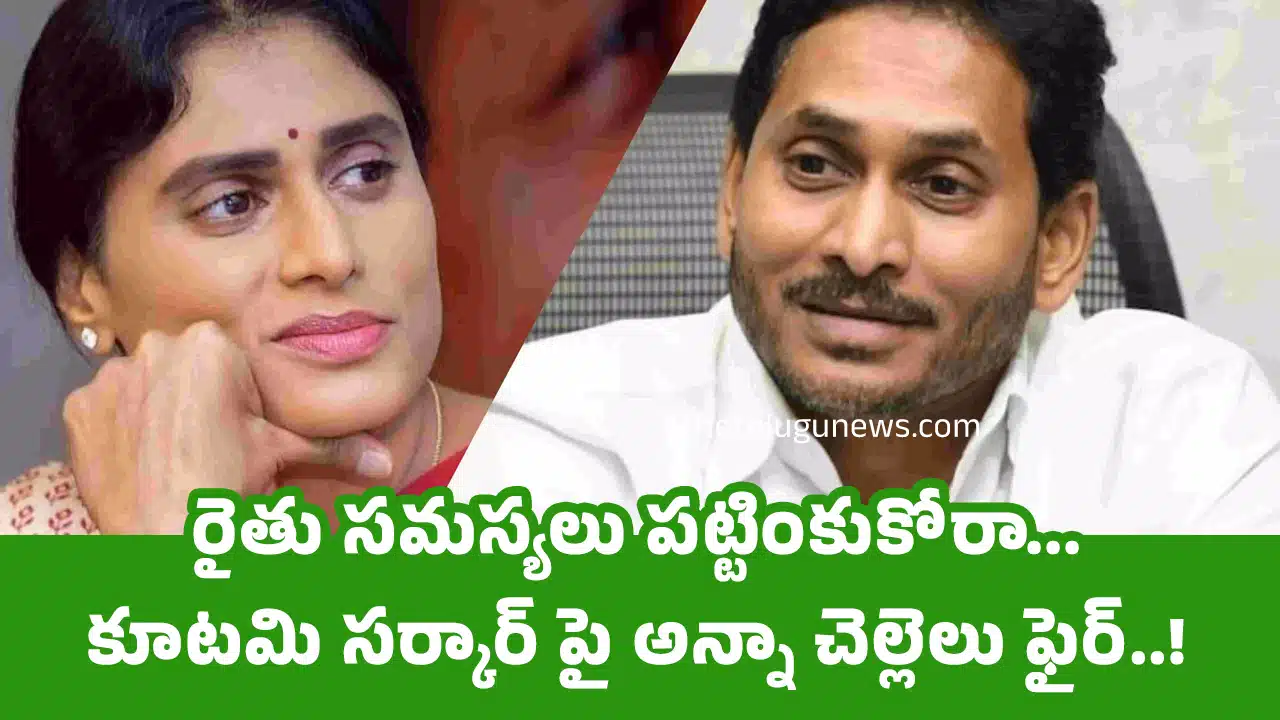Ys Jagan : రైతు సమస్యలు ప‌ట్టింకుకోరా... కూటమి సర్కార్ పై అన్నా చెల్లెలు ఫైర్‌..!