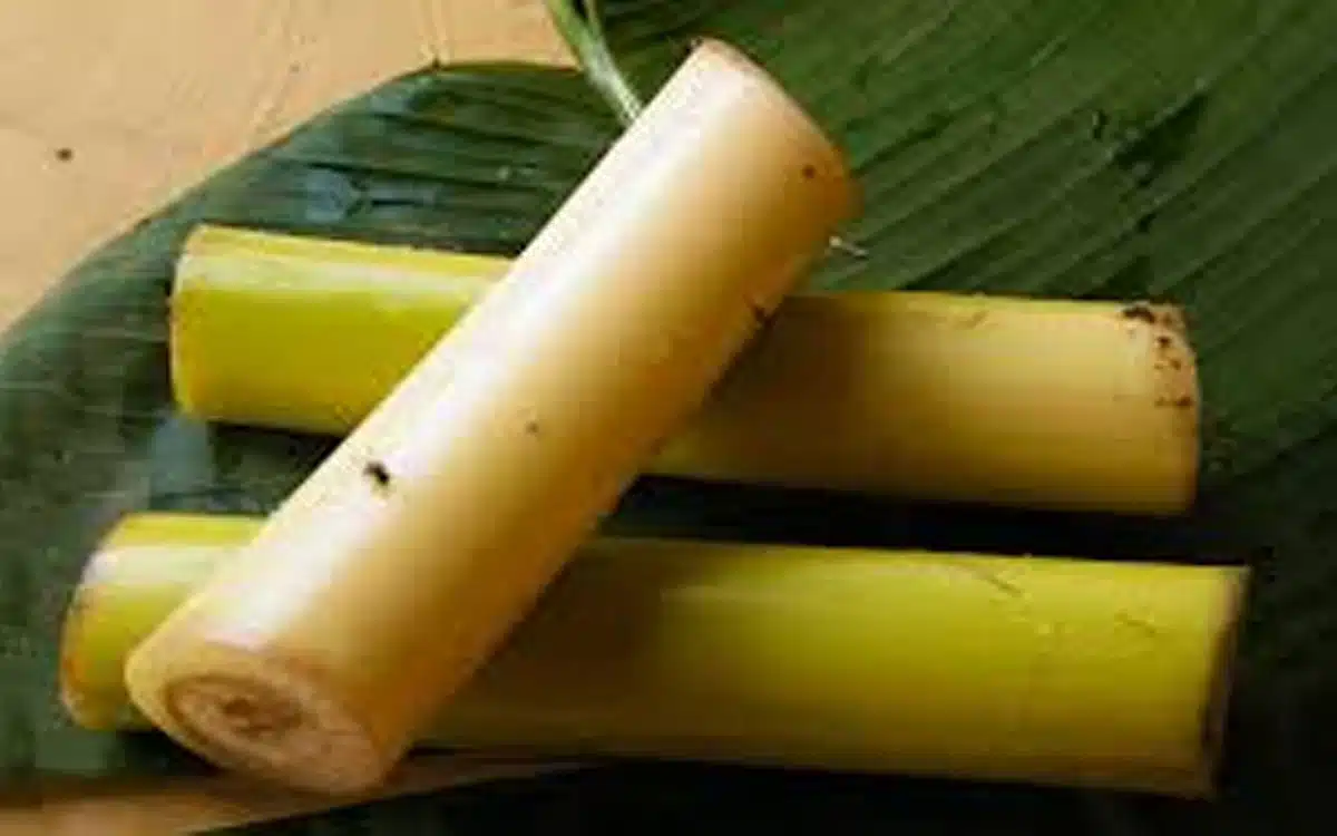 Banana Stems : అరటి కాండం ఆరోగ్య ప్రయోజనాలు.. తెలిస్తే వ‌ద‌ల‌రంతే