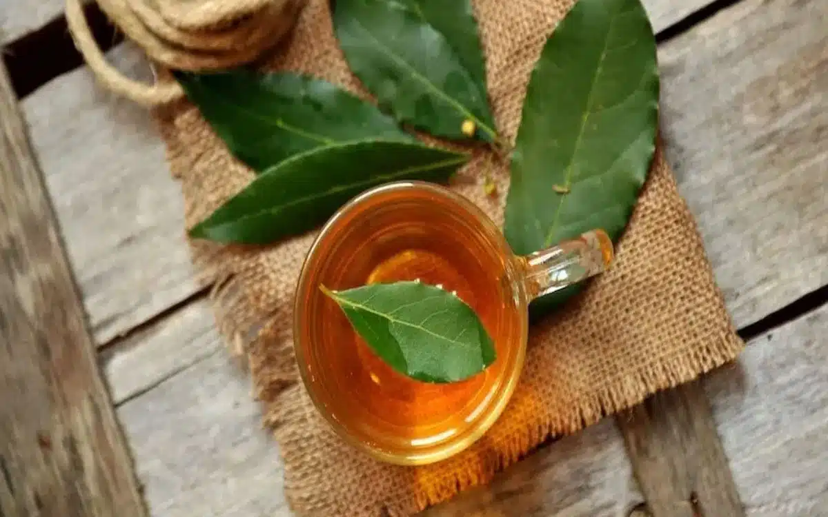 Bay Leaf Tea : బిర్యానీ ఆకు టీతో మీ గుండె ఆరోగ్యం ప‌దిలం