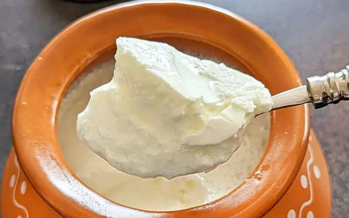 Right Time To Eat Curd : పెరుగు తినడానికి సరైన సమయం ఏది?