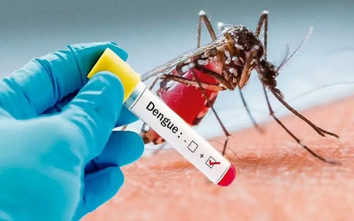 Dengue Fever : డెంగ్యూ యమా డేంజ‌ర్‌.. ఈ జాగ్ర‌త్త‌లు పాటిస్తే సేఫ్‌
