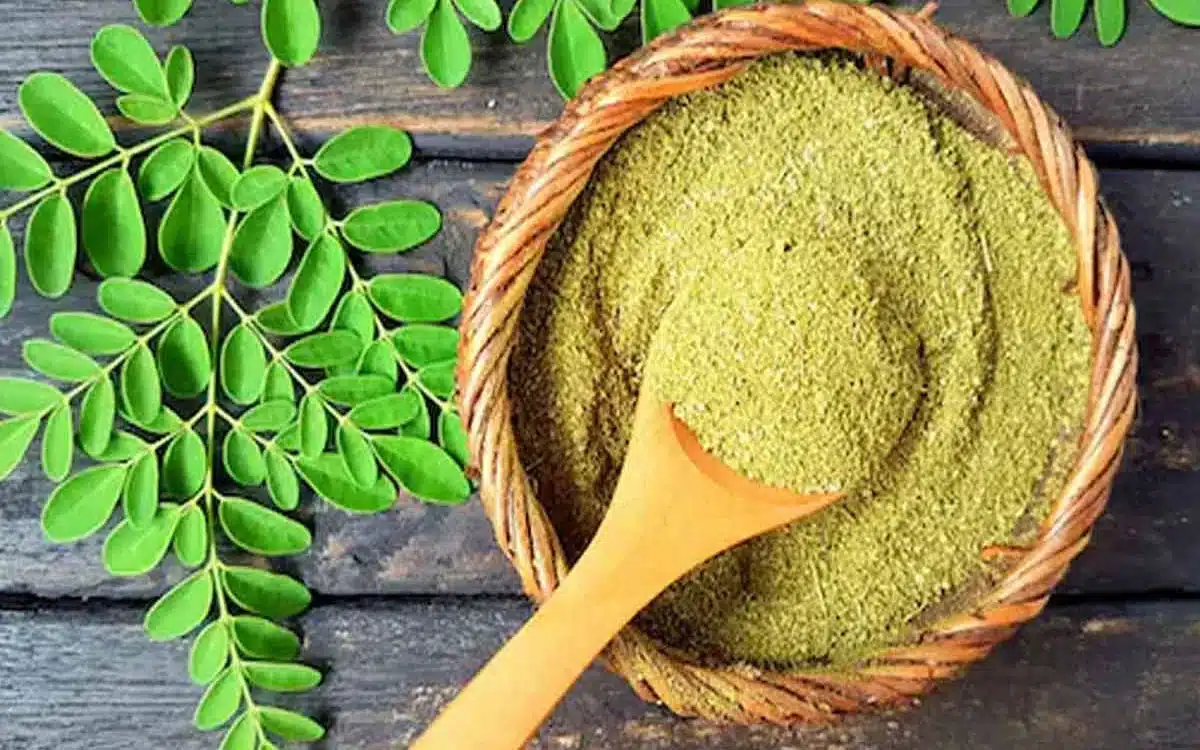 Drumstick Leaves : మునగ ఆకులు.. మీరు తెలుసుకోవాల్సిన ఆరోగ్య‌ ప్రయోజనాలు