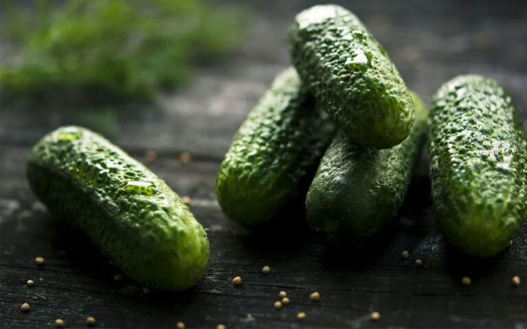 Cucumber : కీర‌దోస పేరు వింటేనే హ‌డ‌లెత్తుతున్న అమెరిక‌న్లు