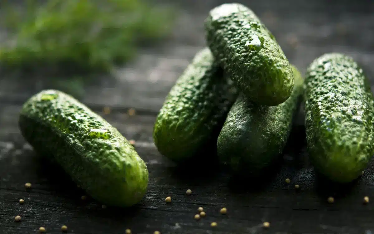 Cucumber : కీర‌దోస పేరు వింటేనే హ‌డ‌లెత్తుతున్న అమెరిక‌న్లు