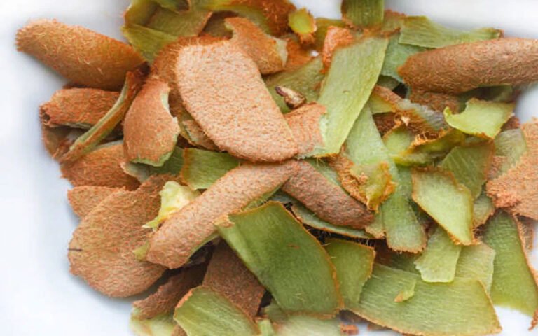 Kiwi Skin : చుడటానికి తిన‌బుద్ది కాదు గానీ.. ఈ పండు తొక్క ప్ర‌యోజ‌నాలు తెలిస్తే ఆశ్చ‌ర్య‌పోతారు