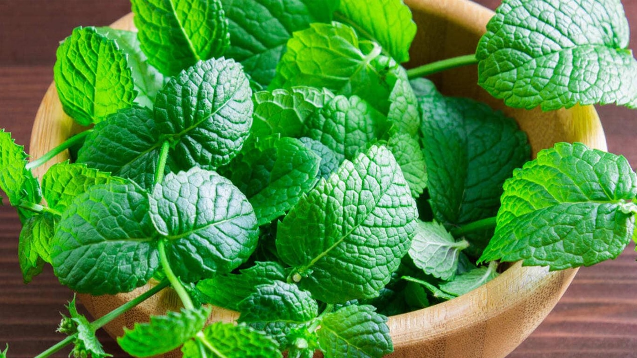 Mint Health Benefits : పుదీనాతో బ‌హుముఖ‌ ఆరోగ్య ప్ర‌యోజ‌నాలు