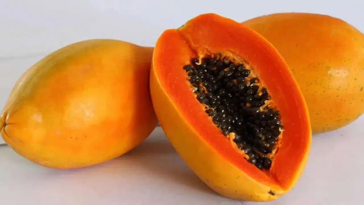 Health Benefits : ఈ పండును తేలికగా తీసిపడేయకండి... ఆ సమస్యలకు దివ్య ఔషధం తెలుసా...?
