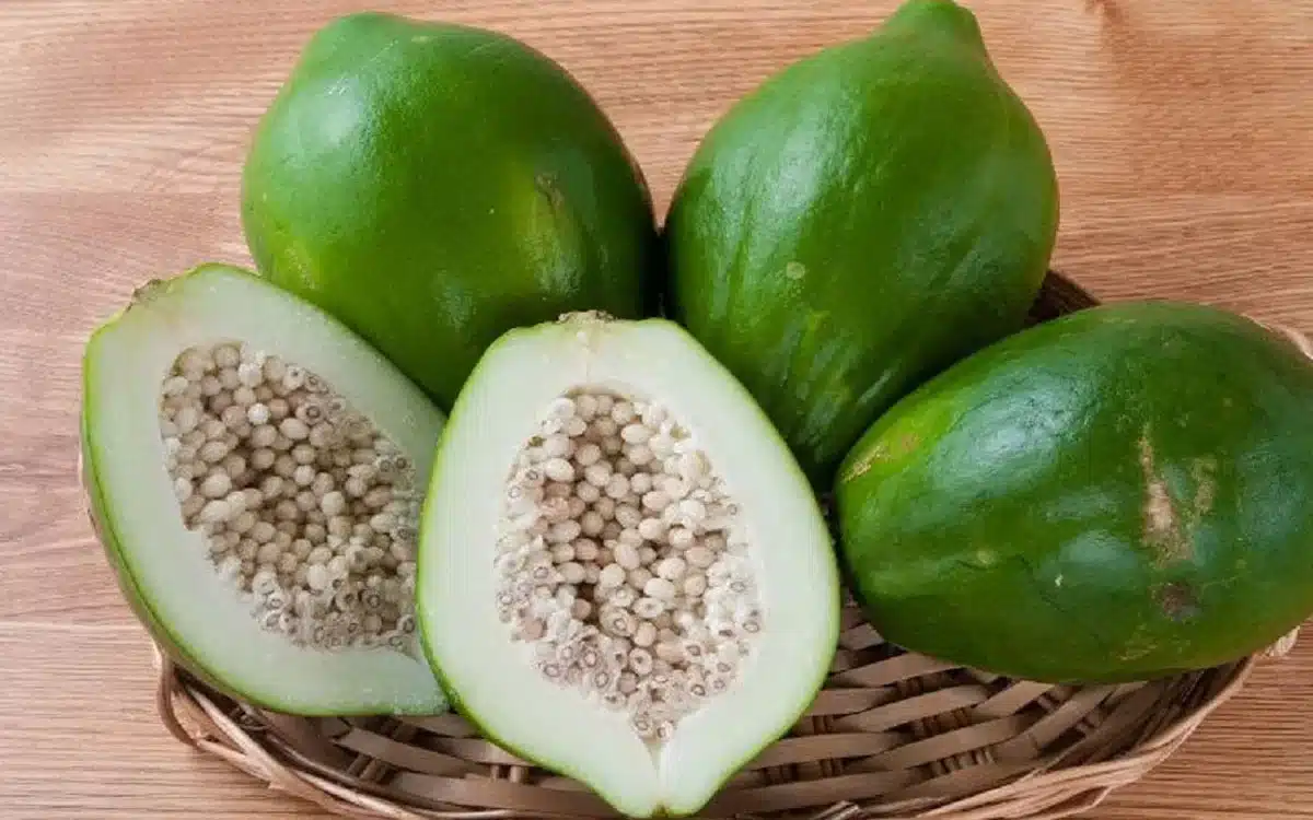 Raw Papaya : శ‌రీరంలో యూరిక్ యాసిడ్ పెరుగుతుందా? అయితే ఖాళీ కడుపుతో ఈ పండు తినండి