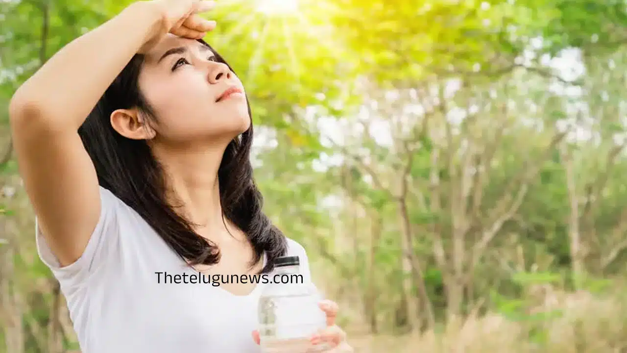 Summer : వేస‌విలో ఈ చిన్న‌పాటి జాగ్ర‌త్త‌లు పాటిస్తే అంతా హాయే