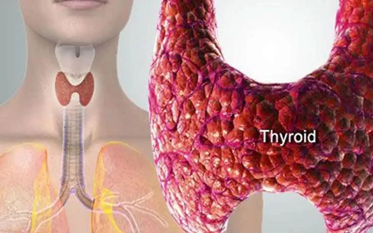 Symptoms of Thyroid : ఈ సంకేతాలు, లక్షణాలు ఉన్నాయా? అయితే థైరాయిడ్ వ్యాధి కావొచ్చు.. జాగ్ర‌త్త ప‌డండి