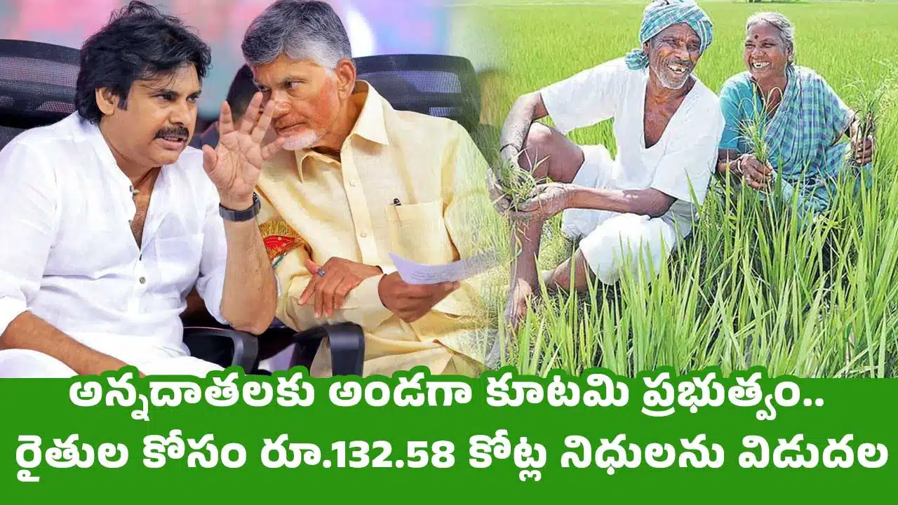 AP Government : అన్నదాతలకు అండగా కూటమి ప్రభుత్వం.. రైతుల కోసం రూ.132.58 కోట్ల నిధులను విడుదల