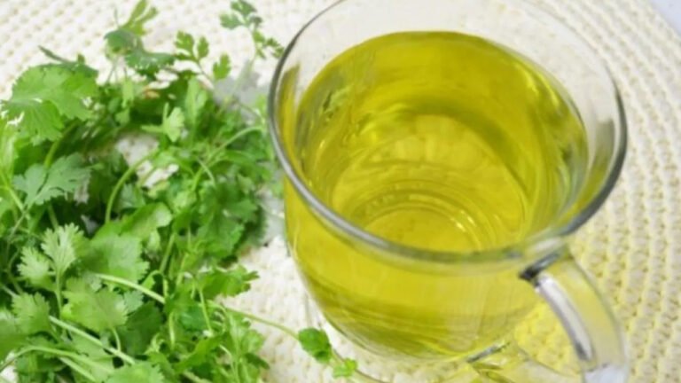 Coriander Water : కిడ్నీ ప్రాబ్లం ఉన్నవారికి పరగడుపున ఈ నీటిని తాగారంటే… దివ్య ఔషధంలా పనిచేస్తుంది…?