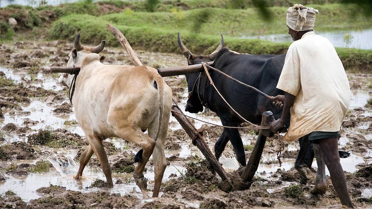 Farmers : రేషన్ కార్డు ఉన్న రైతులకు భారీ శుభవార్త.. ప్రభుత్వం అదిరే కానుక!