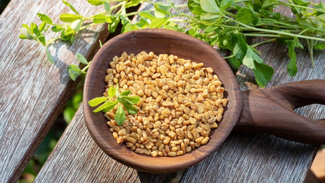 Fenugreek Seeds : మెంతులతో మీ గుండె పదిలం… నిండు నూరేళ్లు ఆయుష్… ఏమిటో తెలుసుకోండి…?
