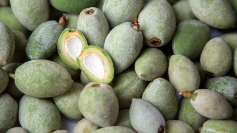Green Almond : పచ్చి బాదం పప్పుని ఎప్పుడైనా తిన్నారా… దీని ప్రయోజనాలు తెలిస్తే మతిపోతుంది…?
