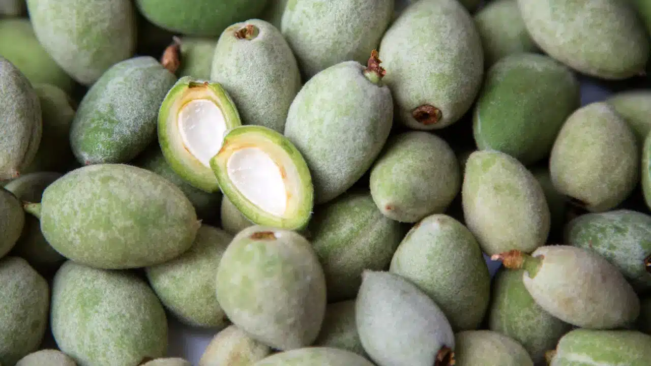 Green Almond : పచ్చి బాదం పప్పుని ఎప్పుడైనా తిన్నారా... దీని ప్రయోజనాలు తెలిస్తే మతిపోతుంది...?