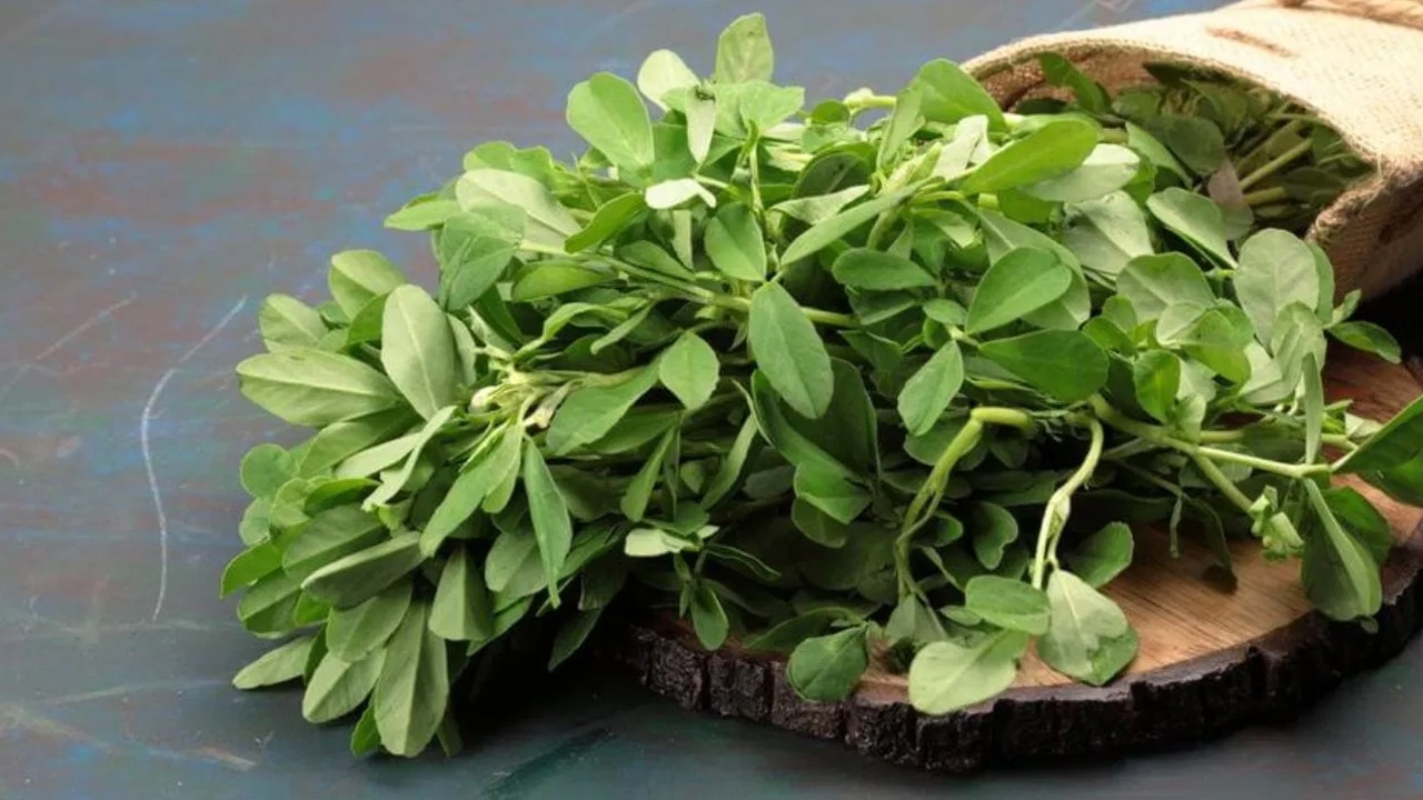 Green Leafs Vegetables :  ఈ ఆకులు చూడడానికి చిన్నగా ఉన్నా… దీని మేలు ఎంతో పెద్దది… ఒక్కసారి తిన్నారంటే షాకే..?