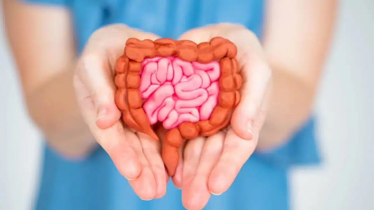 Gut Health : వీటిని తిన్నారంటే... మీ గట్ హెల్త్ బాగుంటుంది.. జీర్ణాశయానికి బెస్ట్ ఫుడ్...?