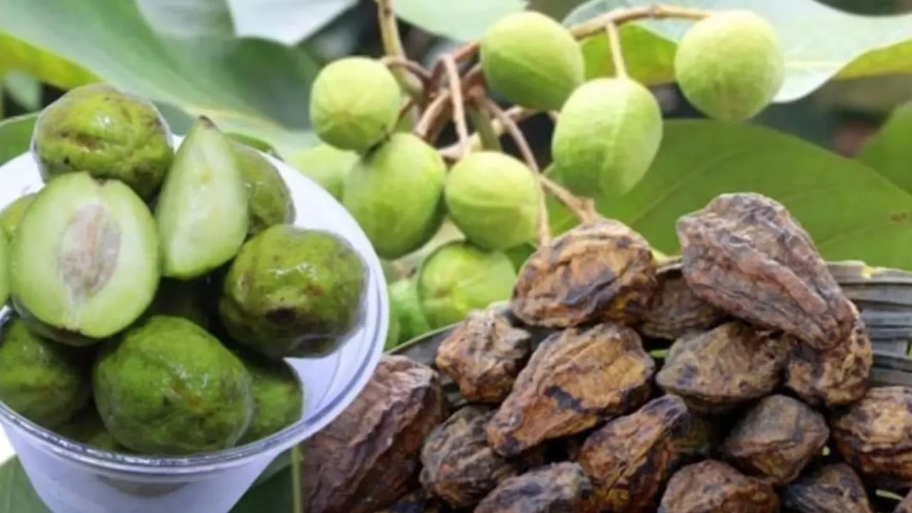 Karakkya Benefits : మొత్తం శరీర భాగాలను రిపేర్ చేసే… ఒకే ఒక్క పండు.. 160 వ్యాధులకు చెక్…?