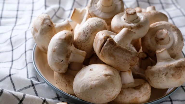 Mushrooms : ఇవి తిన్నారంటే మీ శరీరానికి శక్తి బూస్ట్ లా పెరుగుతుంది…. అలసట ఎగిరిపోతుంది….?