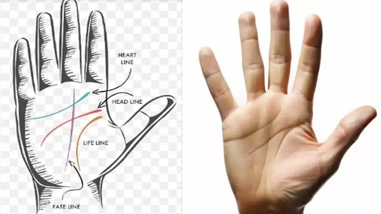 Palmistry : మీ అరచేతిలో M అక్షరం ఉంటే... మీ అంత అదృష్టవంతులు లేరికా...?