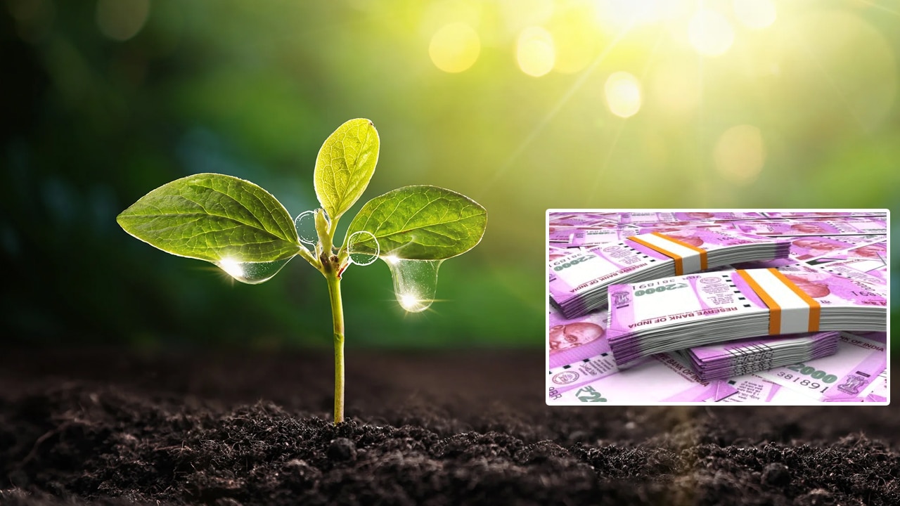 Lucky Trees : సిరి సంపదలు సుఖం, ఆశీర్వాదం కోసం ఆ రోజున ఈ మొక్కలు నాటండి