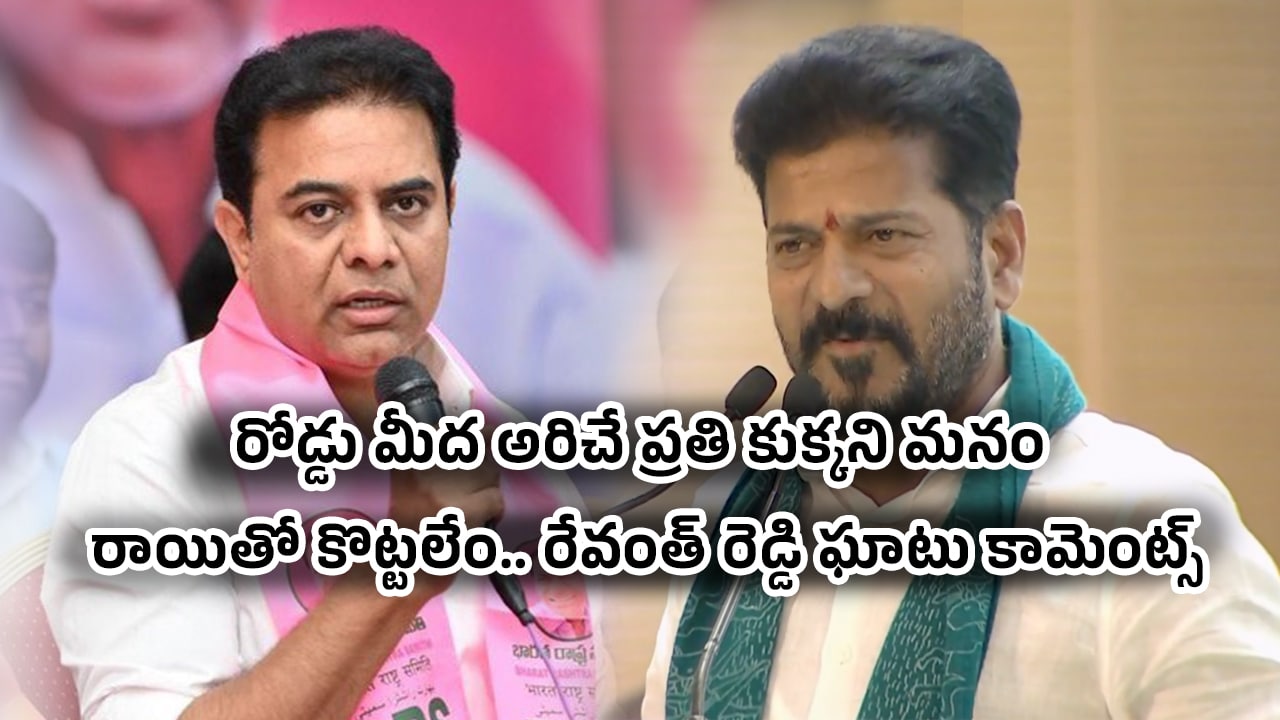 Revanth Reddy : రోడ్డు మీద అరిచే ప్రతి కుక్కని మనం రాయితో కొట్టలేం.. రేవంత్ రెడ్డి ఘాటు కామెంట్స్
