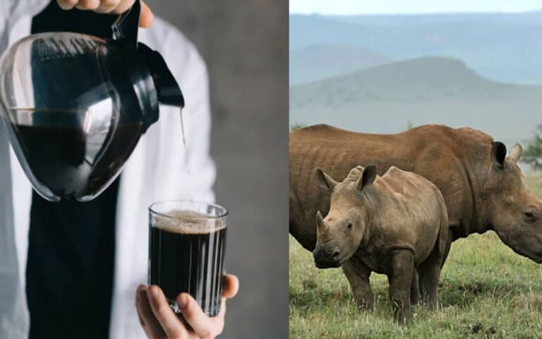 Black Milk Benefits : న‌ల్ల‌టి పాలు ఇచ్చే జీవి ఉంద‌ని మీకు తెలుసా?