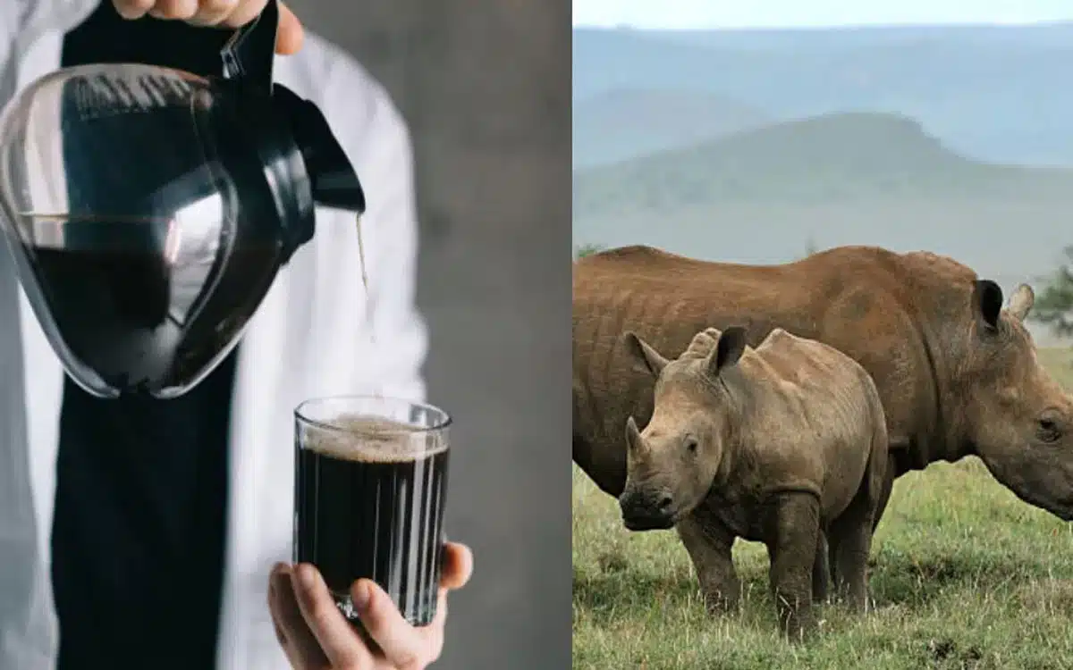 Black Milk Benefits : న‌ల్ల‌టి పాలు ఇచ్చే జీవి ఉంద‌ని మీకు తెలుసా?