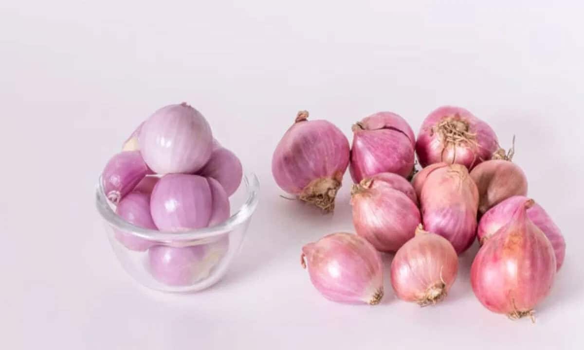 Small Onions మీరు ఊహించని చిన్న ఉల్లిపాయల ఆరోగ్య ప్రయోజనాలు