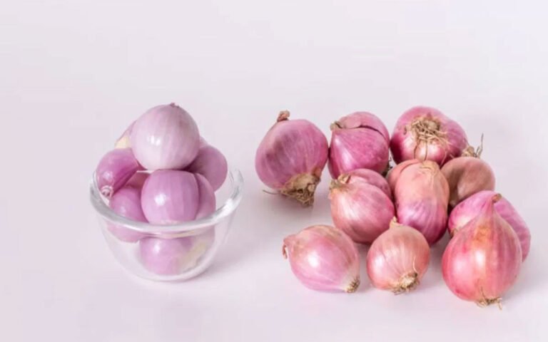 Small Onions : మీరు ఊహించ‌ని చిన్న ఉల్లిపాయ‌ల ఆరోగ్య ప్ర‌యోజ‌నాలు