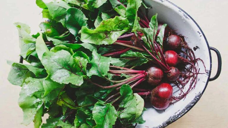 Beetroot Leaves : బీట్రూట్ ఏ కాదు..బీట్రూట్ ఆకులతో కూడా ఆరోగ్య ప్రయోజనాలు… తెలిస్తే షాకే…?