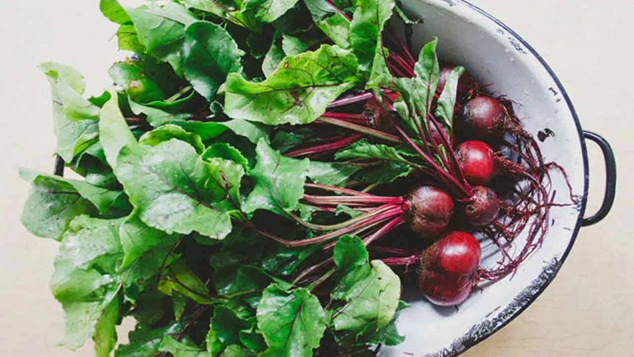 Beetroot Leaves : బీట్రూట్ ఏ కాదు..బీట్రూట్ ఆకులతో కూడా ఆరోగ్య ప్రయోజనాలు… తెలిస్తే షాకే…?
